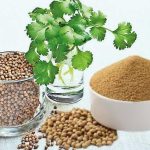 Coriander seeds for fertility, 5 emerging benefits and side effects