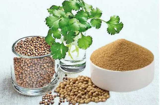 Coriander seeds for fertility