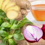 Basil leaves tea for fertility and irregular Menstruation: Emerging Benefits