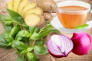 Basil Leaf Tea for fertility and Menstruation 