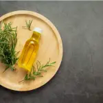 Thyme for fertility and pregnancy: Oil extract benefits and side effects