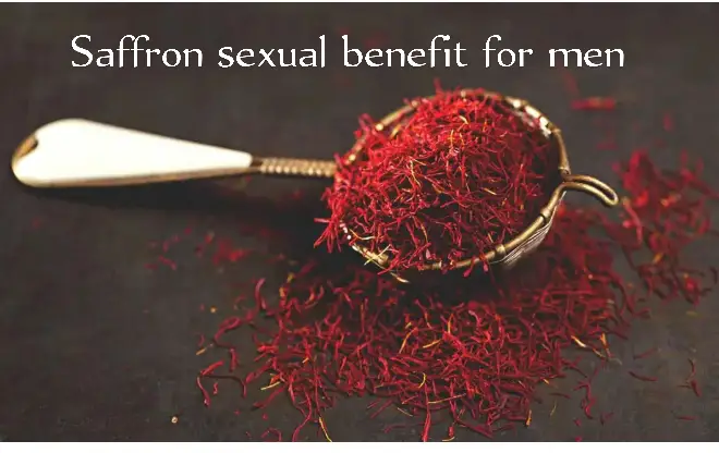 saffron spice