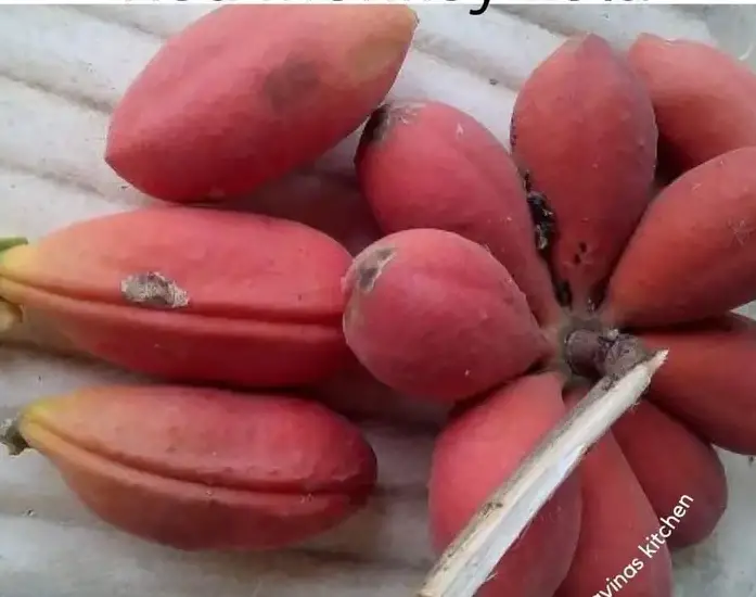 Monkey Kola health benefits
