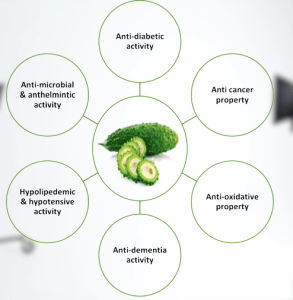 Bitter Gourd seeds benefits