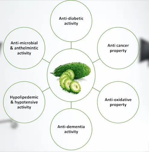 Bitter Gourd seeds benefits