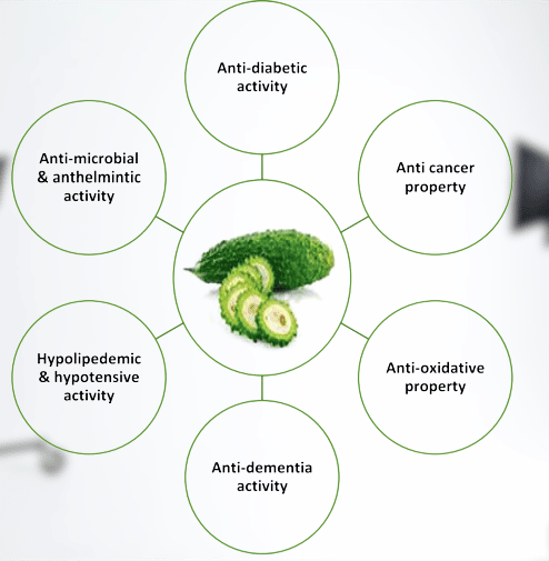 Bitter Gourd seeds benefits
