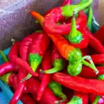 Cayenne Pepper For Fertility: 3 Emerging Benefits Sexually & Side Effects