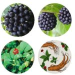 Siberian Ginseng