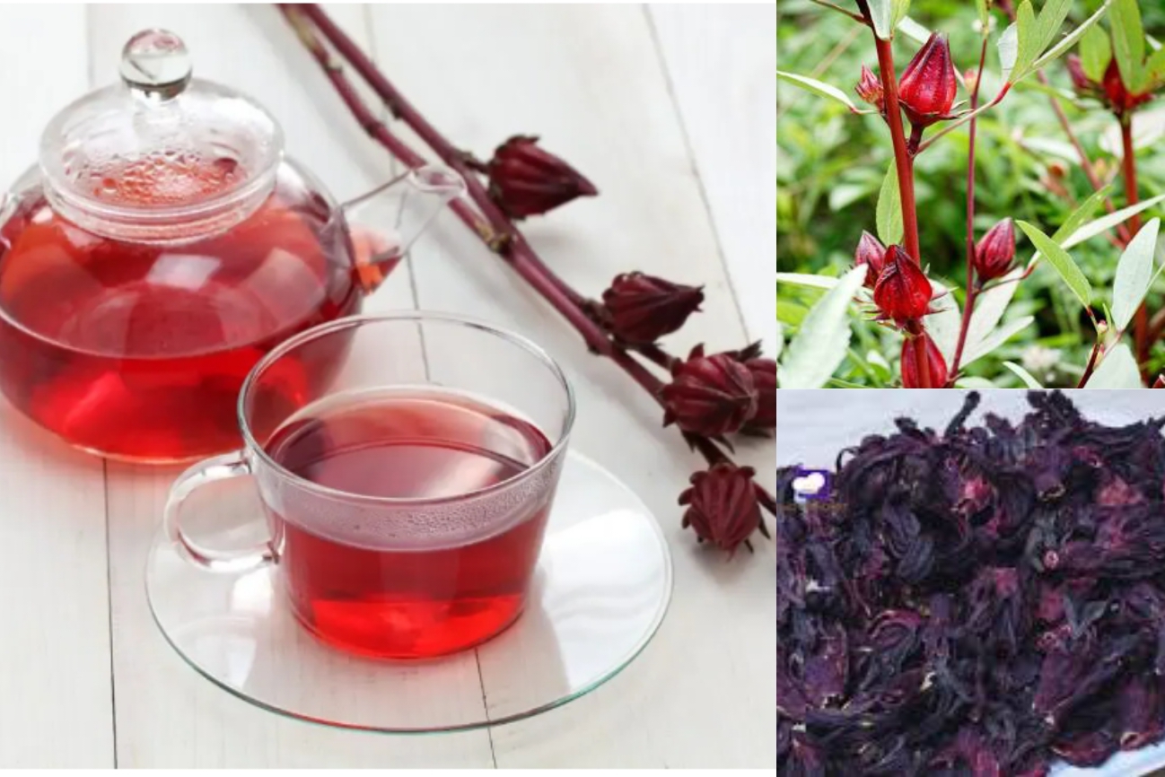 Zobo drink