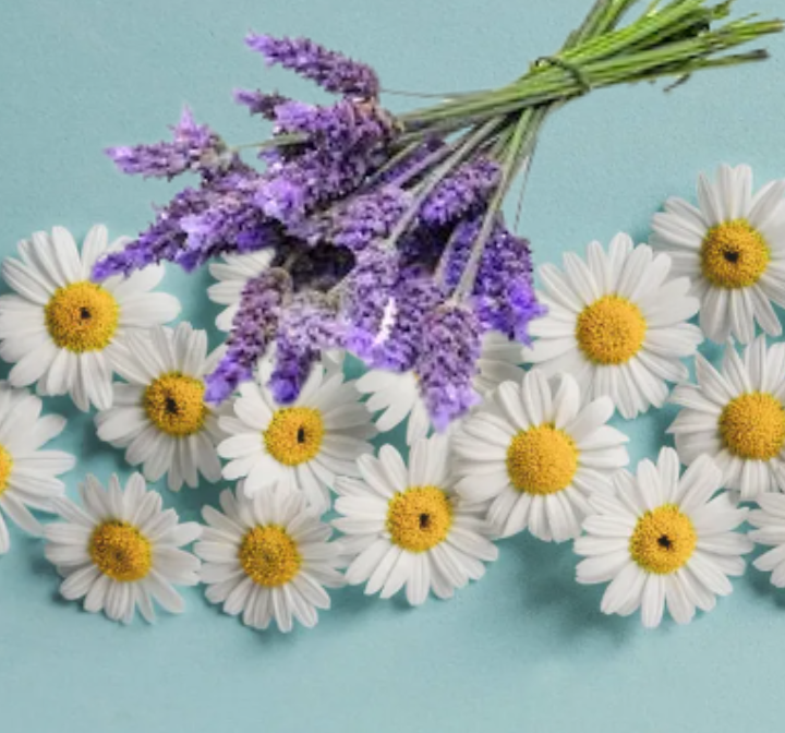 Chamomile and lavender