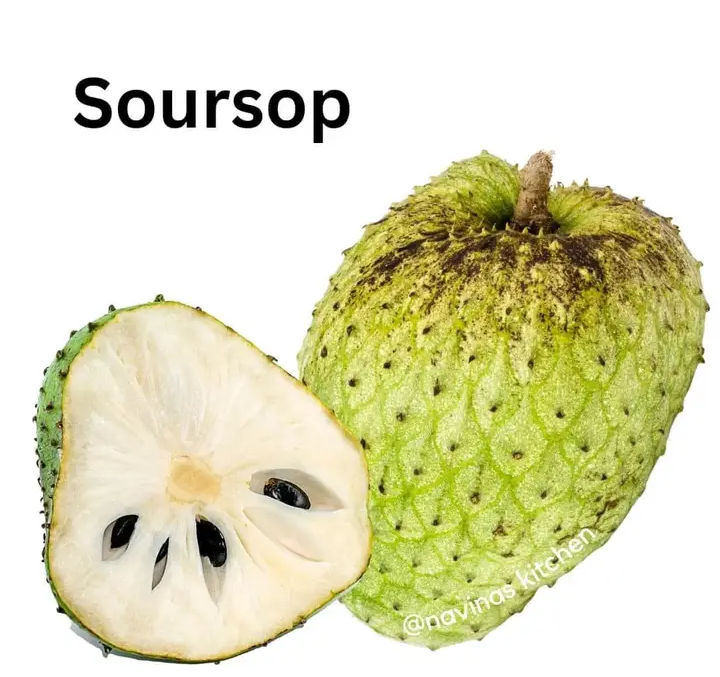 Soursop for fertility