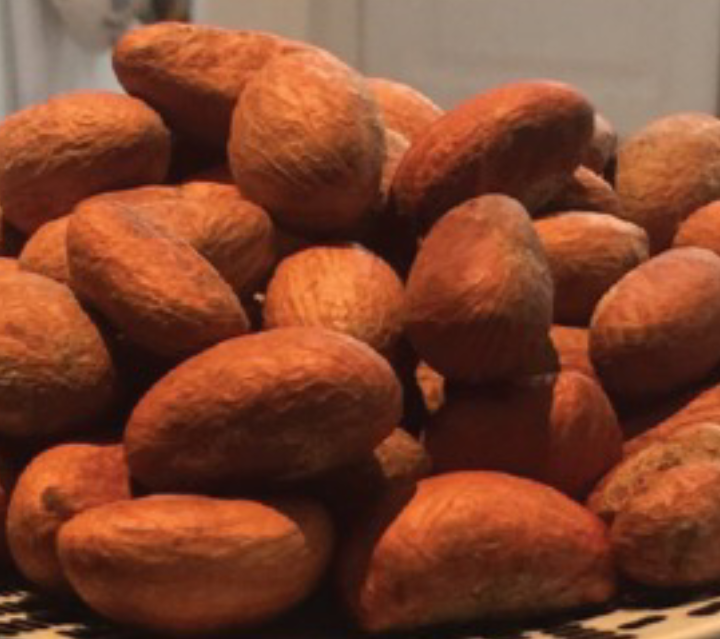 Bitter Kola For Fertility