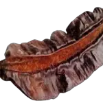 Aidan fruit for fertility