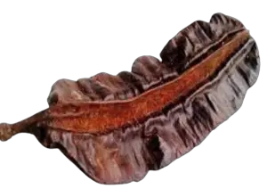 Aidan fruit (Prekese)