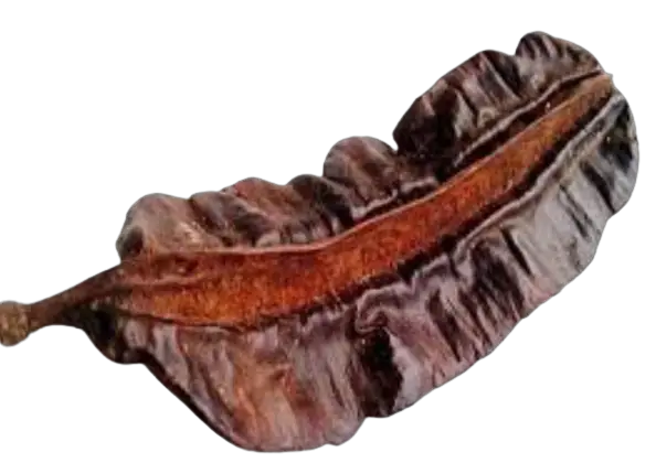 Aidan fruit (Prekese)
