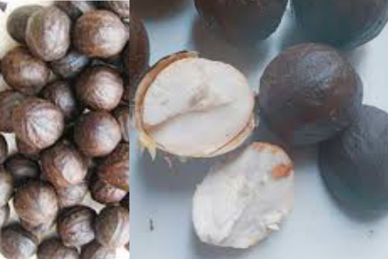 African Walnuts for Fertility