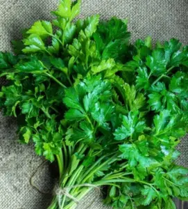 Parsley leaves