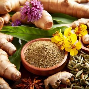 Herbs for PCOS and Fertility