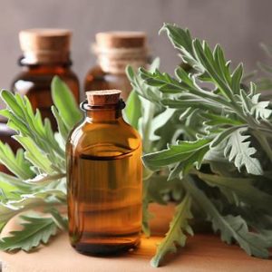 Wormwood for infection 