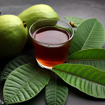 Guava Leaves Tea during Menstruation