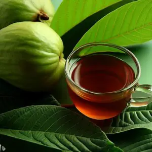 Guava Leaves and Menstruation