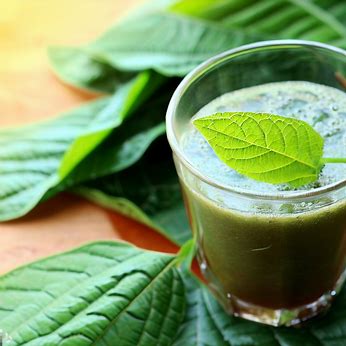 Bitter Leaf for Menstruation