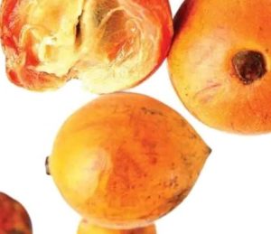 African Cherry Fruit 