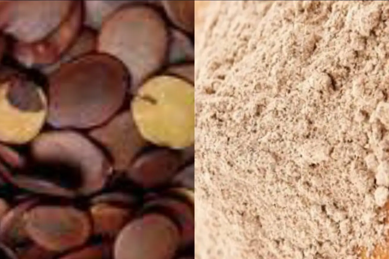 Brachystegia Eurycoma achi seeds benefits