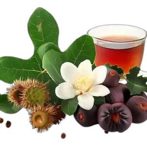Yaupon holly