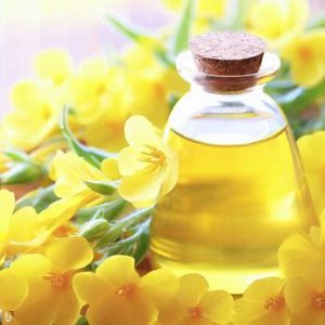 Evening primrose oil for fertility: Emerging Benefits + Risks 7 Evening primrose oil extract
