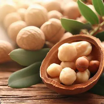 Effects of Macadamia Nuts on Fertility and Pregnancy + Benefits and Risks