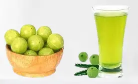 Benefits Of Amla For Fertility and Menstruation (Indian Gooseberry)