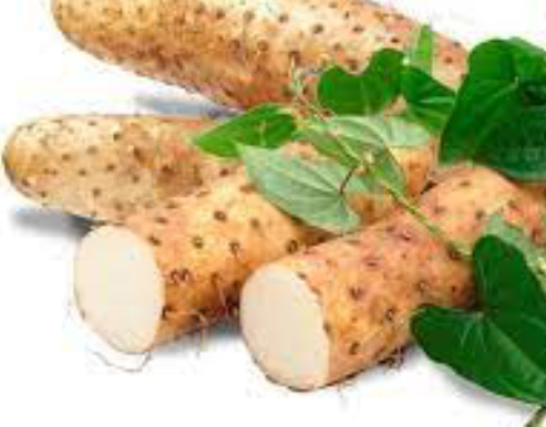 7 Incredible Benefits of Yam for Fertility: An Evidence-Based Outlook 6 Yam for fertility