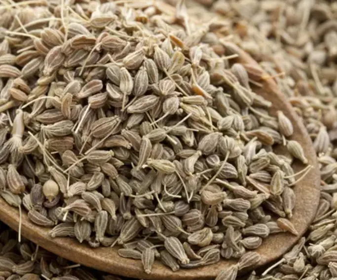 Aniseed for Fertility, Menstruation, Pregnancy, and Lactation