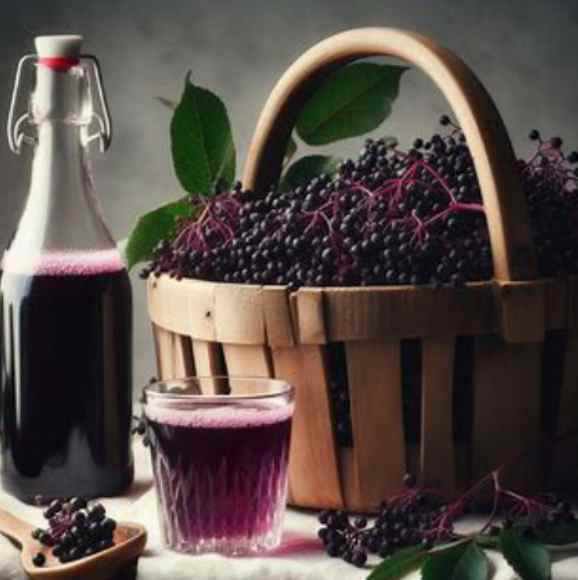 elderberry3506702120343161550
